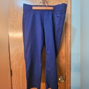Stylish Blue Pants